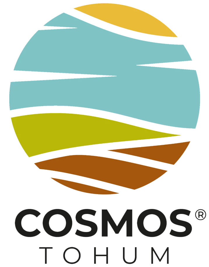 Cosmos Tohum